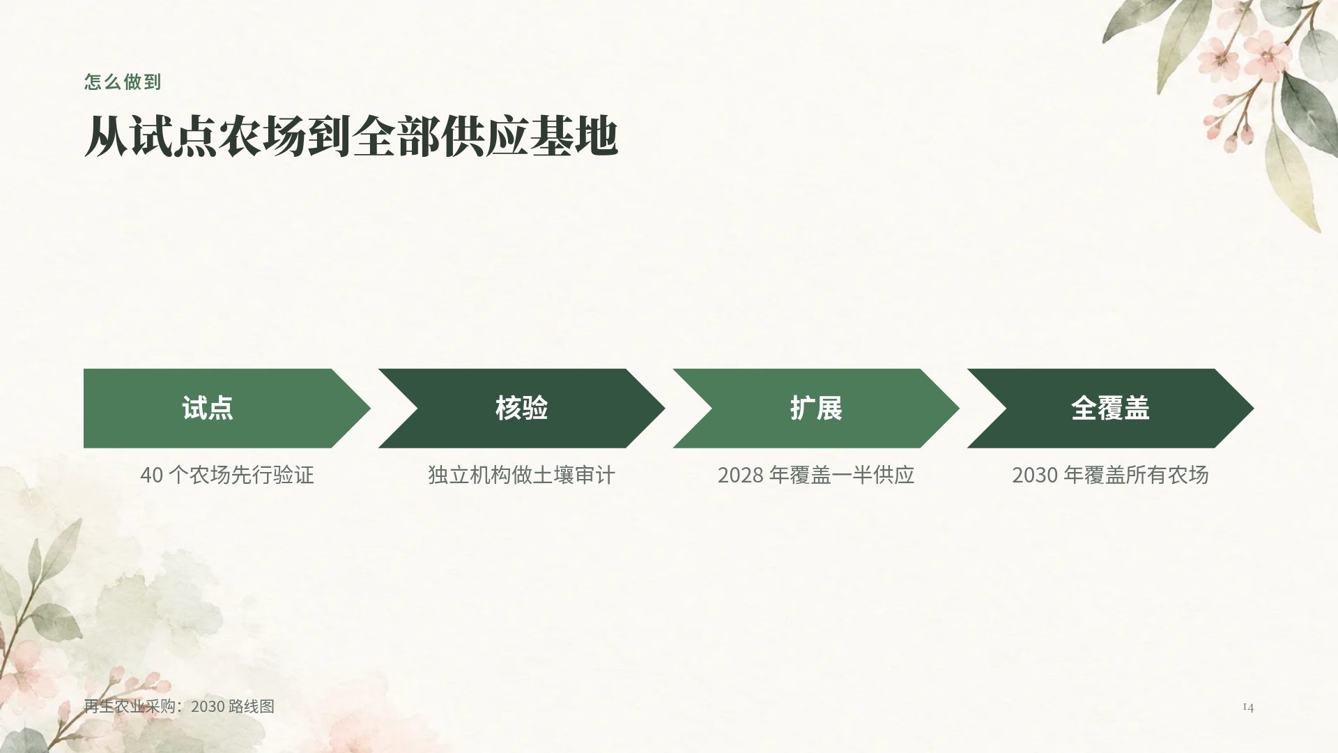 水彩植物 第 12 页