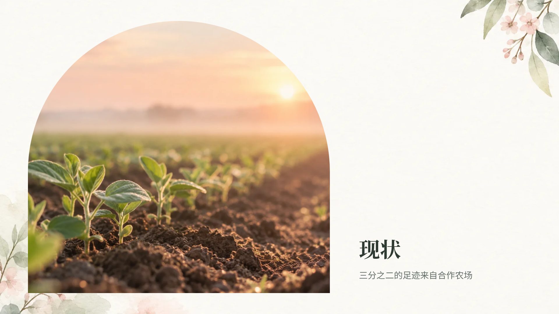 水彩植物 第 13 页