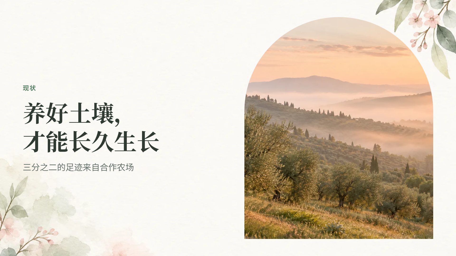 水彩植物 第 7 页