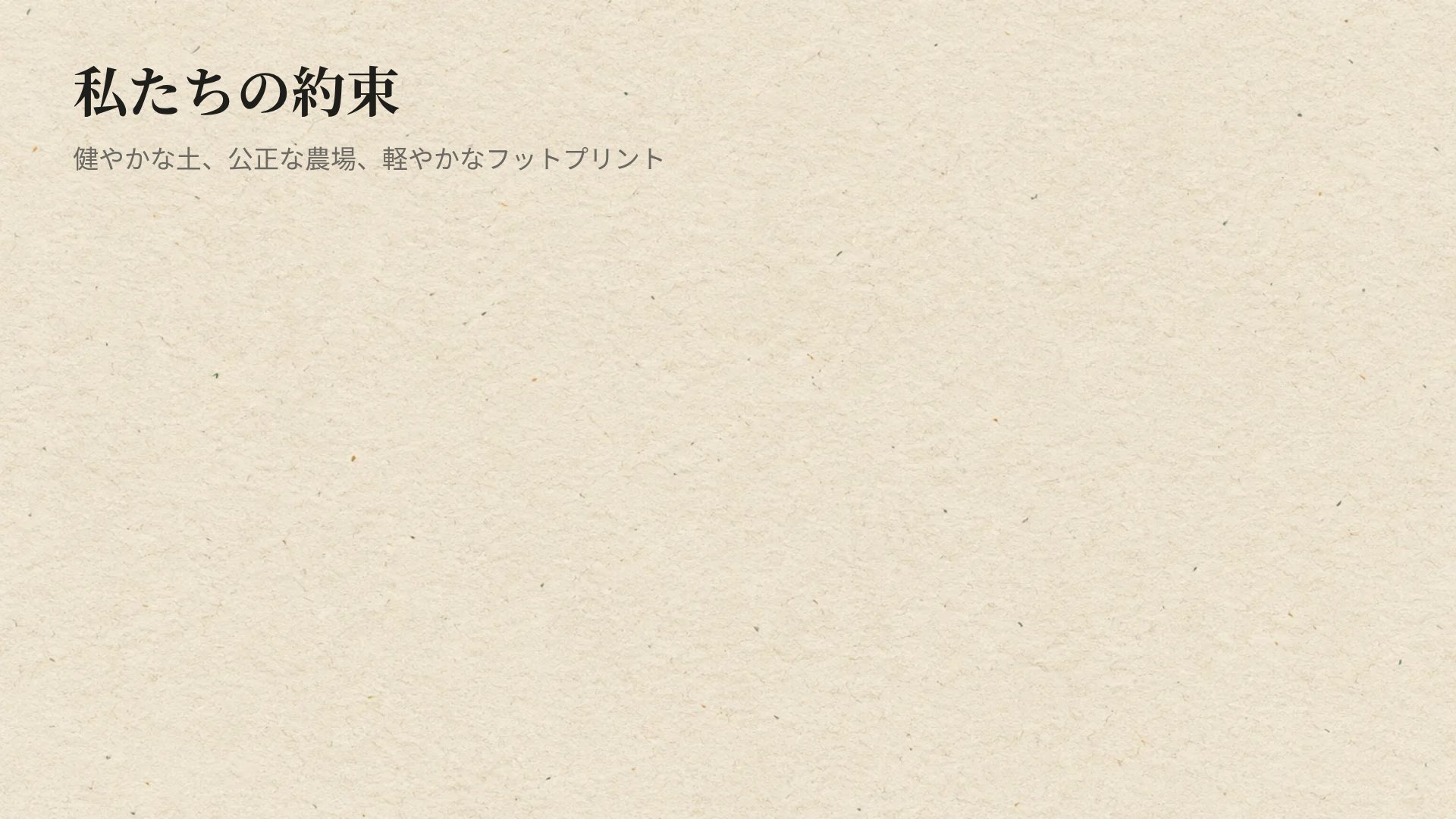 ウッドカット スライド 15
